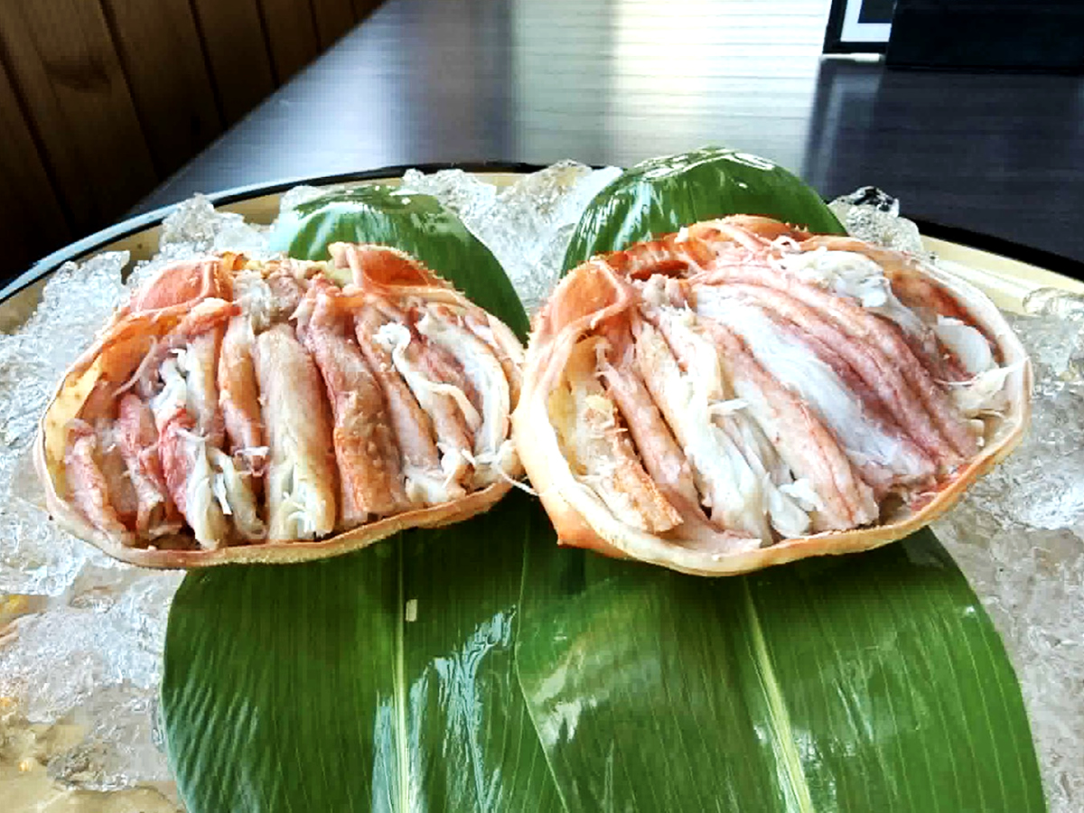 越前 紅ズワイ蟹 プレゼントキャンペーン